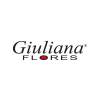 plugg-to-cliente-empresa-giuliana-flores-p9hbtt9isyssgcnctqdh9cd70k1vfymiuzwmi1k63s